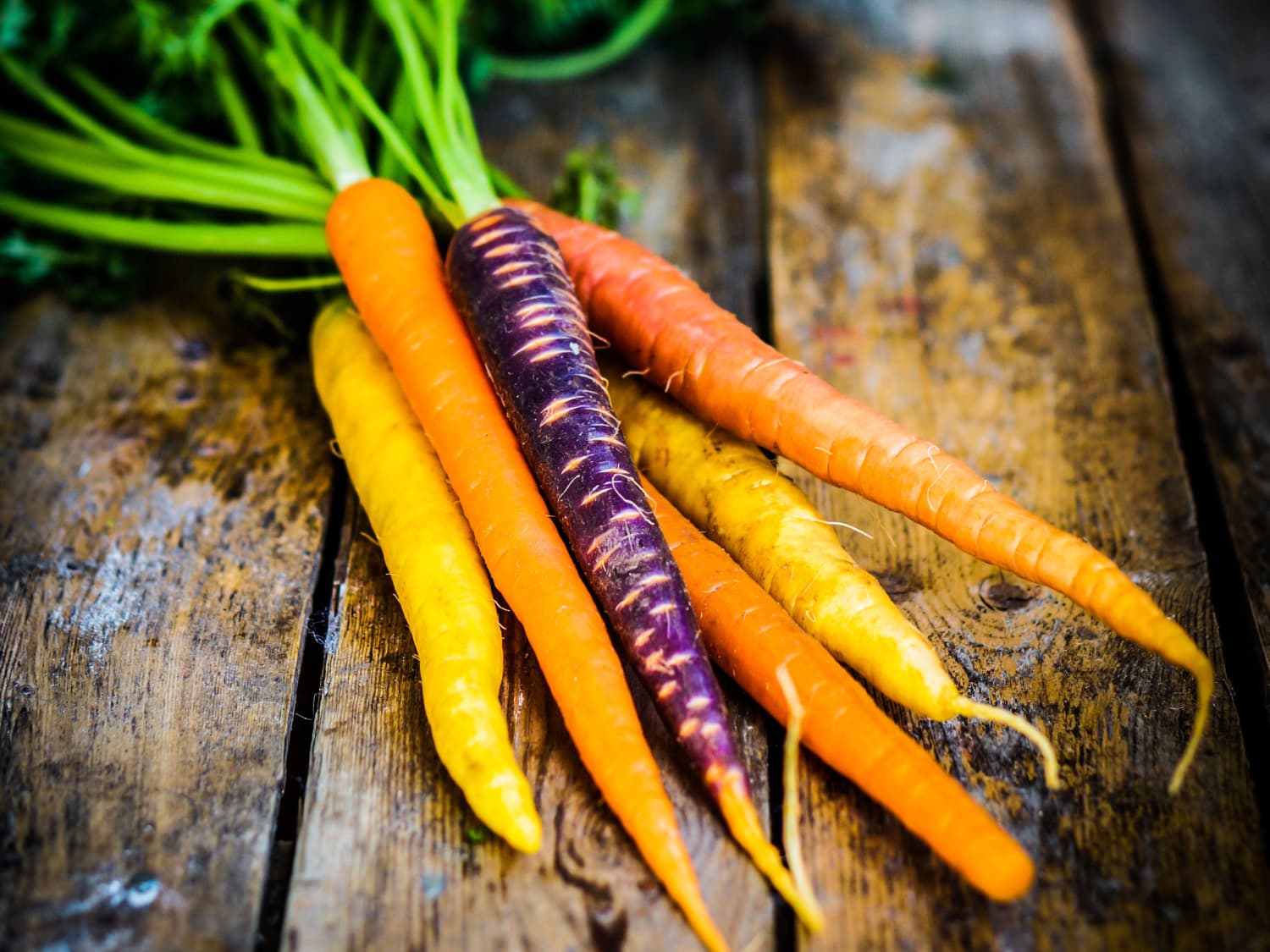 Horta Natural - Mini Legumes